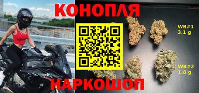 гидра Краснодар