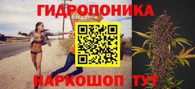 СК Краснознаменск