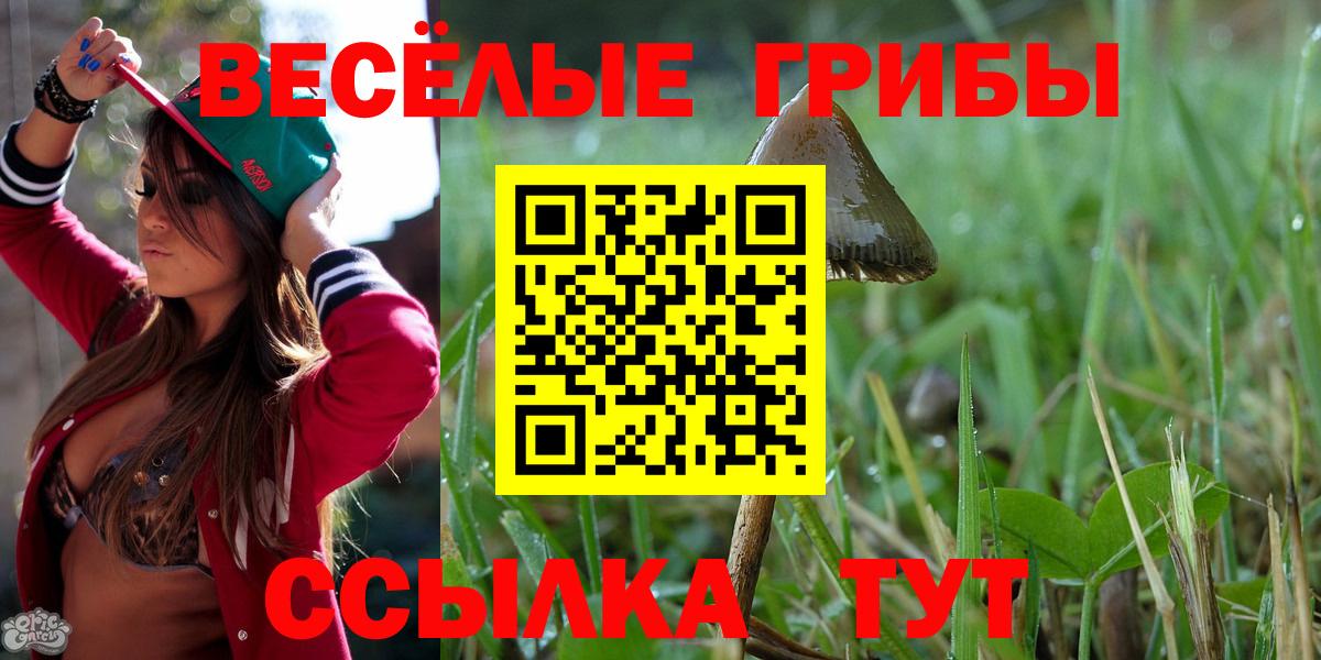 Галлюциногенные грибы GOLDEN TEACHER  где найти   Еманжелинск  Вход с VPN  Псилоцибиновые грибы GOLDEN TEACHER 