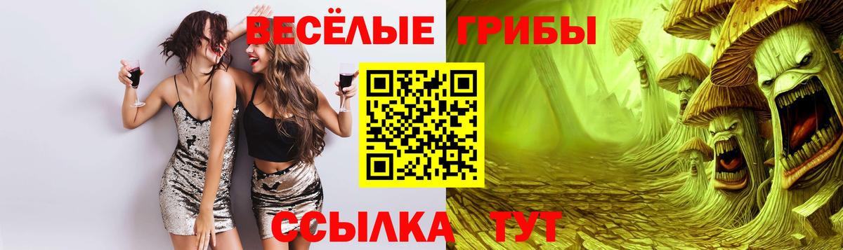 Псилоцибиновые грибы Psilocybe Еманжелинск